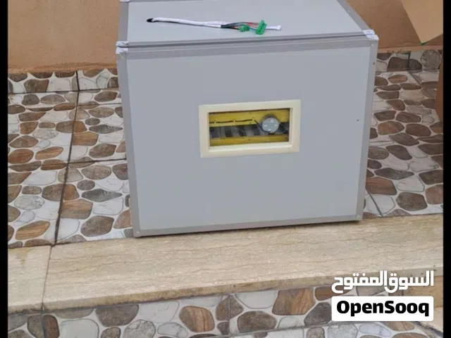 فقاسة درجة أولى