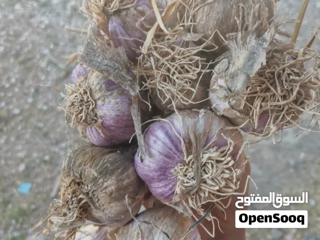 ثوم عماني للبيع الربطه ب 900 بيسه