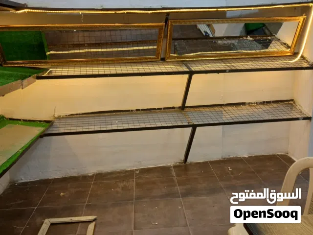 محل خضار وفواكه للبيع بسعر مغري