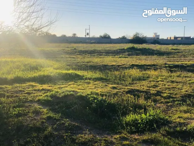 Mixed Use Land for Sale in Zawiya Western Zawiya