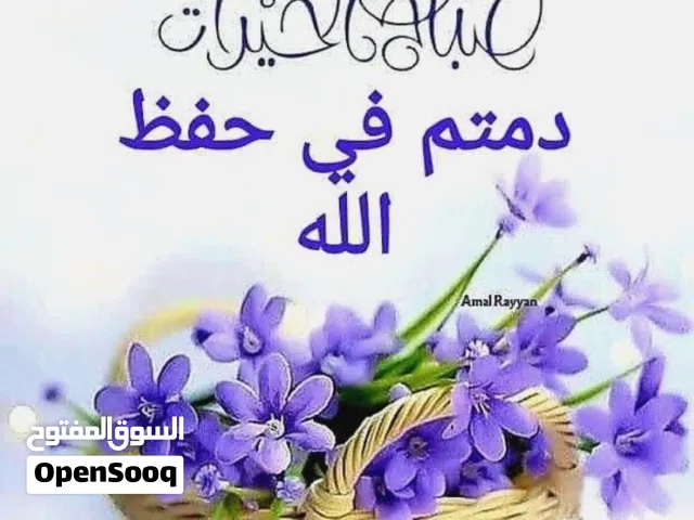 بيع شركات جاهزة باcblاخدم اعتماد طوال