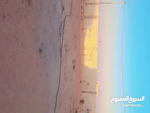 عبد المعطي