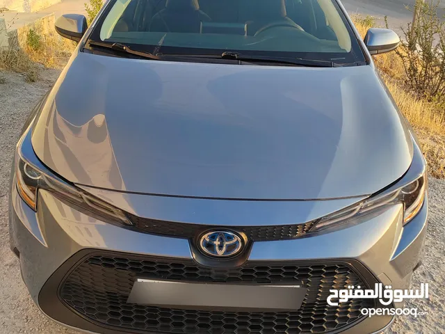 Used Toyota Corolla in Amman