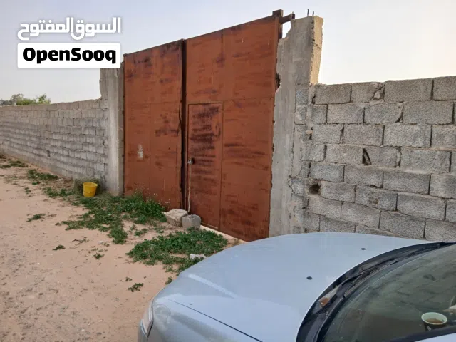 راض في موسه كوسه 2000 ألفين ميترو