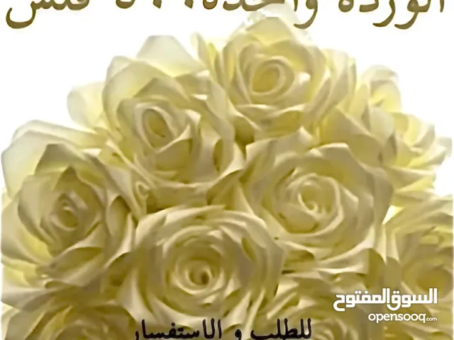 ورد دائم _ Roselia_bahrain