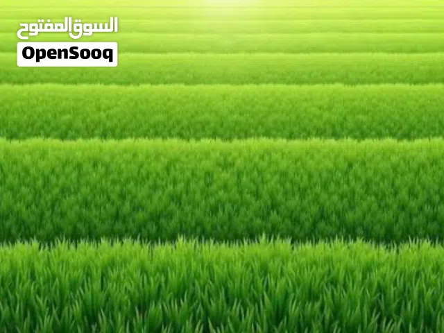 بحيرتين مجازة في ارض زراعية 20دونم مقابل مجمع بسماية