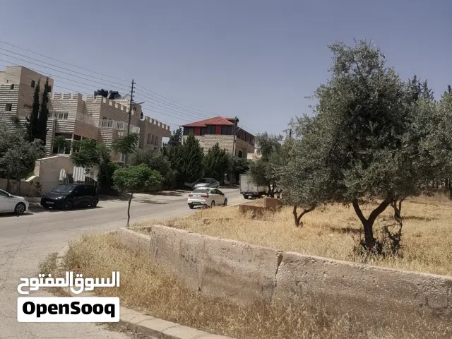 Residential Land for Sale in Amman Al Hummar