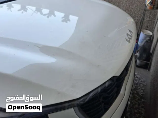 بيع سورنتوا