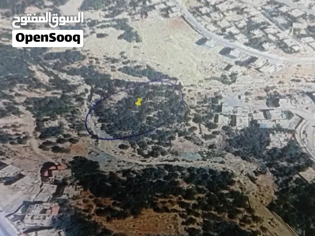Farm Land for Sale in Tafila Other