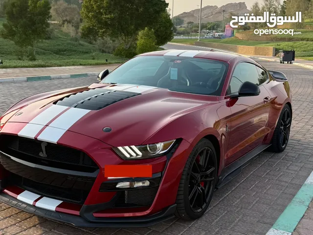 2020 Ford Mustang Shelby GT500 11,000 KM Showroom Condition فورد موستنج مواصفات خليجيه وكالة