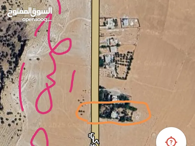 قطعة ارض مزروعة زيتون ولوزيات مع بيت طابقين