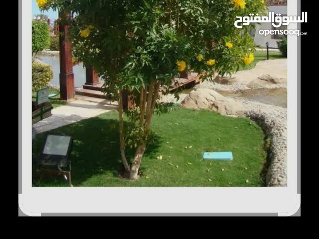 زراعه وصيانه وعمل شبكات رى للحديقة