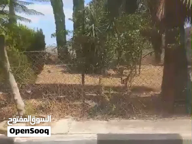 Residential Land for Sale in Ramallah and Al-Bireh Al Baloue