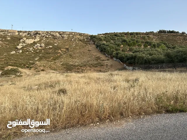 Farm Land for Sale in Amman Naour