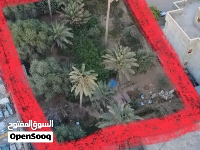 ارض مساحتها 800متر في السبعة بجانب جامع القرافي
