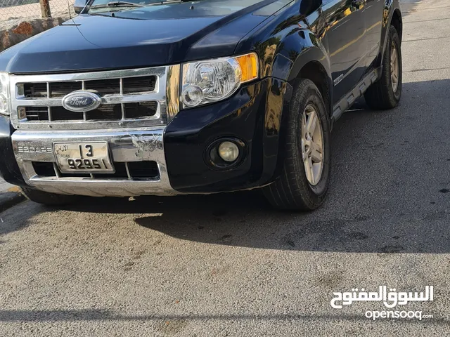 Used Ford Escape in Ajloun