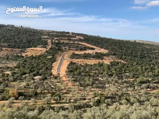 جفنا زعبوب 1355 متر على شارعين في المخطط الهيكلي حدود جفنا بيرزيت، مرتفعة ومطلة مقابل تلال بيرزيت