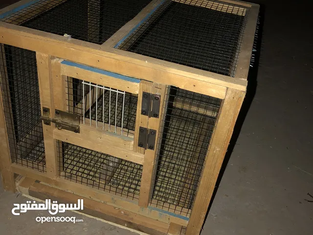 ربي يبارك قفص خدمه صح لوح غليض ربي يبارك