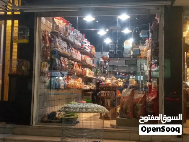 محل حيونات الايفه للبيع