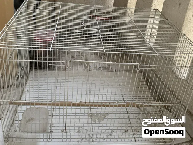 Big cage - قفص كبير