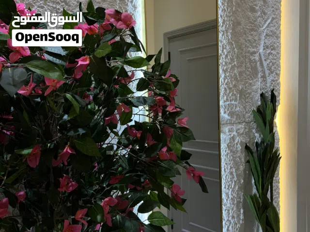 86 m2 Studio Apartments for Rent in Muscat Al Maabilah