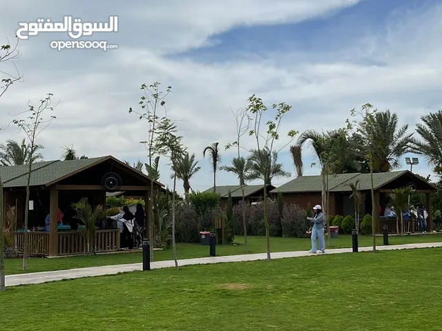 شقة مفروشة للكراء تونس العاصمة
