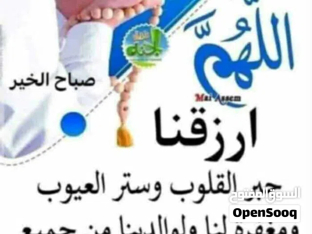 بيض عربي وفيومي حجم غليظ  تجميع أسبوع