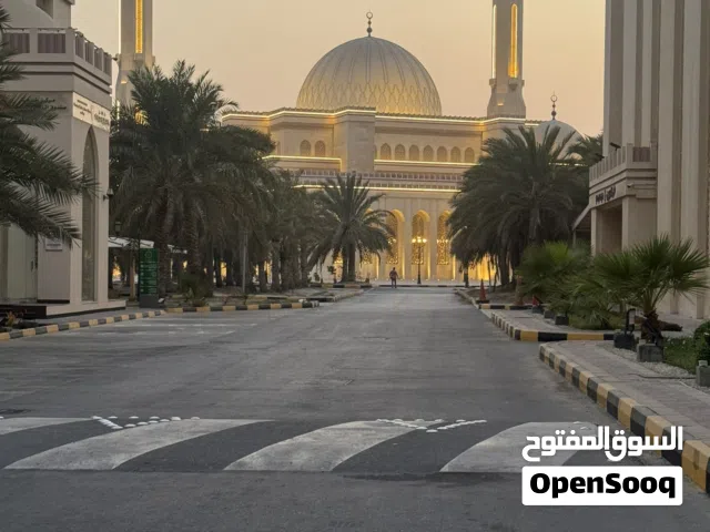 Shared room for rent  غرفه مشاركه للايجار