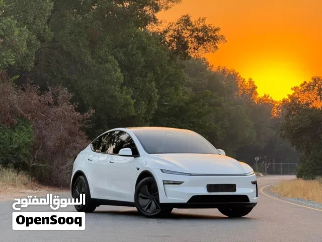 2026 تيسلا موديل Y Long Range