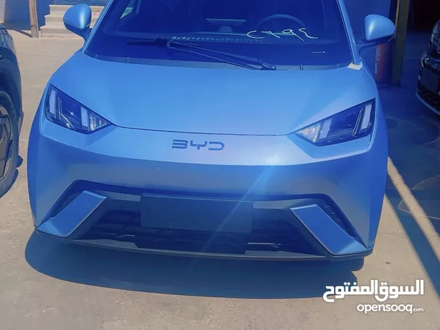 BYD 2025 سيقال