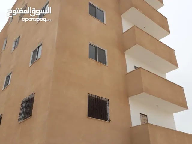 شقق الايجار