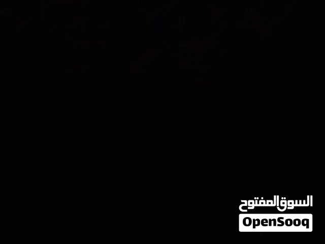مطلوب صخلات صغار بقيمه مناسبه
