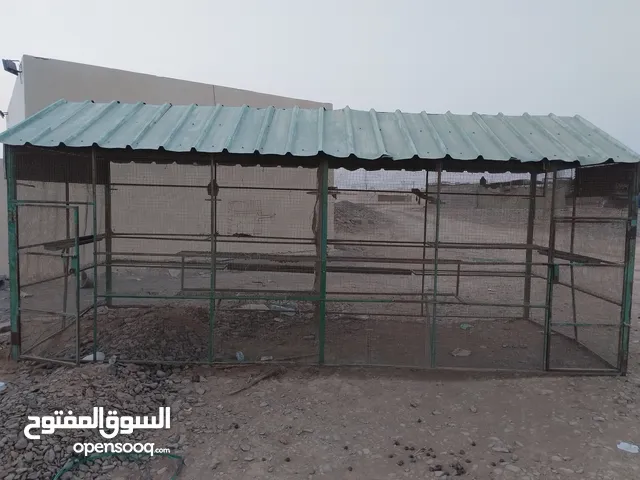 للبيع قفص حديد