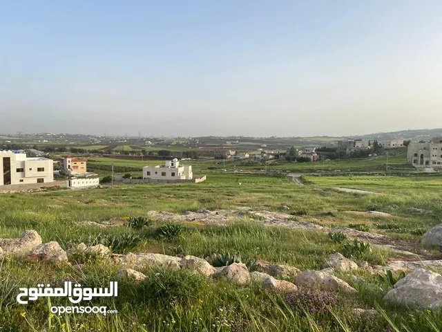 قطعة أرض دنم سكن أ طريق المطار خلف جامعة الزيتونة