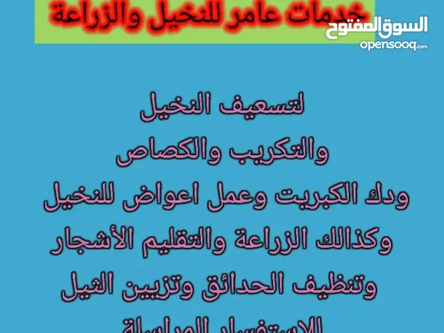 خدمات عامر للزراعة والنخيل وترتيب الحدائق والتنظيف والتقليم الأشجار وصيانة النخيل والتكريب والكصاص و