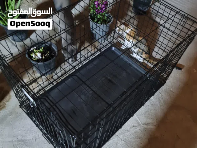 New CAGE FOR SALE