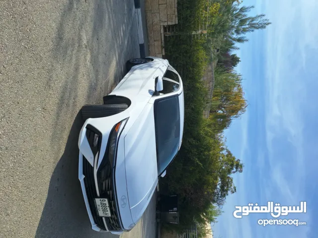 انس احمد بعيرات