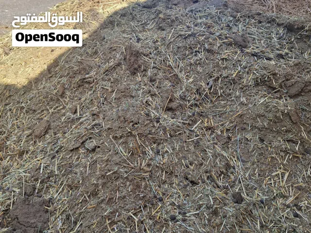سماد غنم نظيف