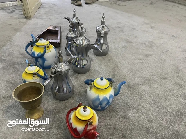 ادلل ستين من ارسلان