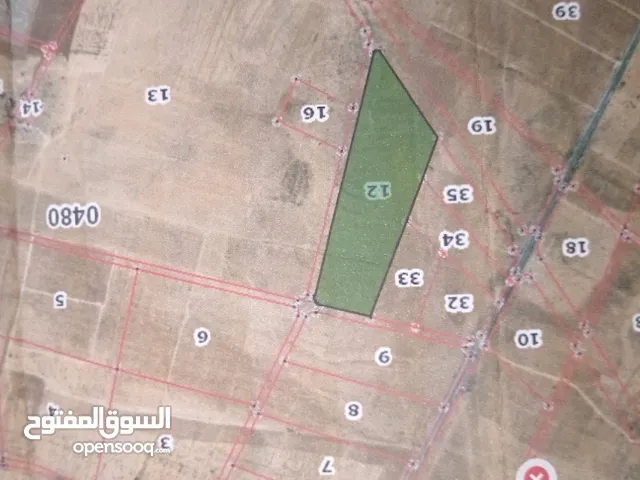 Mixed Use Land for Sale in Mafraq Um Al Jimal