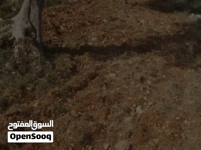 Residential Land for Sale in Ramallah and Al-Bireh Jifna