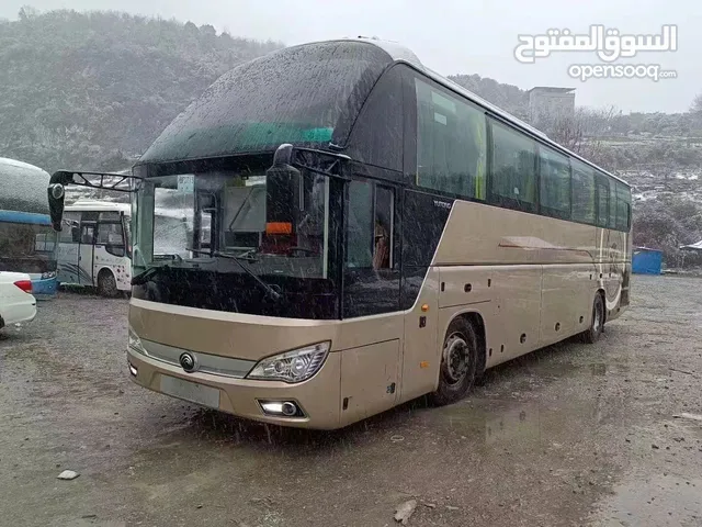 new buses zero
