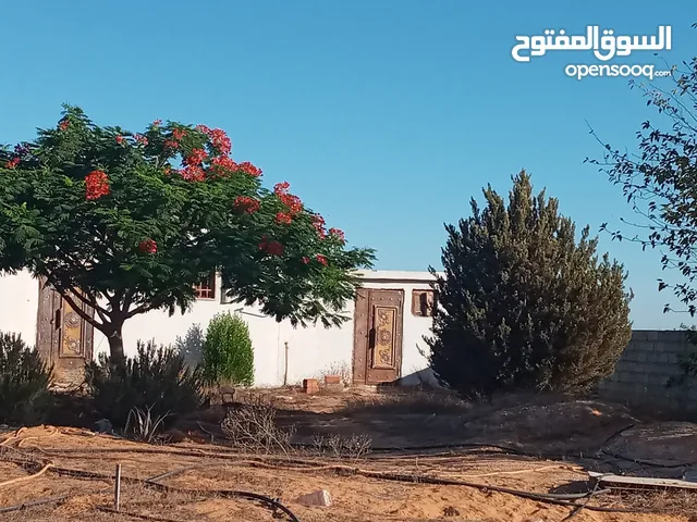 Farm Land for Sale in Tripoli Tajura
