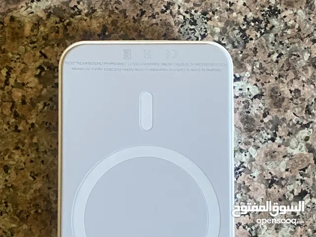 Magnetic charger