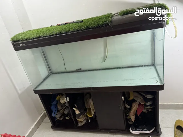 حوض سمك كبير بس تعال اخذه بلاش