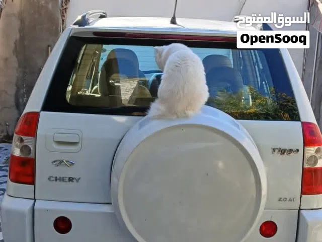 سيارة شيري تيجو 2012