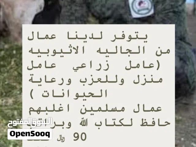 نوفر عمال من دولة افريقيا مسلمين للعزب والمزارع وتربيه الحيوانات