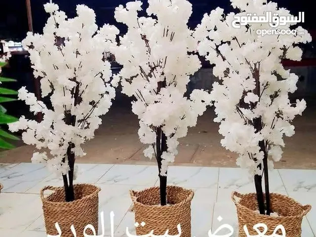 اشجار ورد صنياعه حسب الطلب