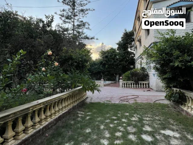 فيلا راقيه مفروشه  عائلية مساحه كبيره بالعجمي