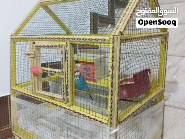 طيور حب للبيع مع القفص
